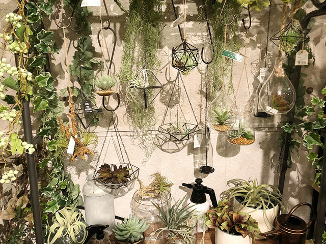京都 下鴨神社前 地下にカフェを備え 多彩な造花の世界が広がるショップ By アルボス イランイラン ボタニカルグリーン フラワー カフェ Ylang Ylang 出町柳 カフェ 食べログ