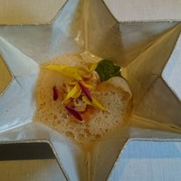 リョウリヤ ステファン パンテル - 