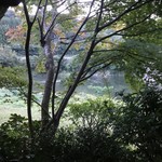 四季の郷　喜久屋 - 