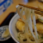 Teuchi Udon Teraya - 