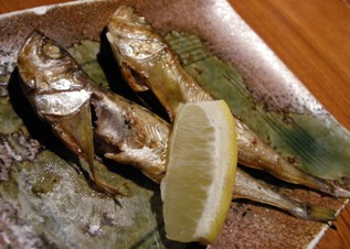 閉店 土風炉 志木店 とふろ 志木 居酒屋 食べログ 閉店 土風炉 志木店 とふろ 志木 居酒屋 食べログ