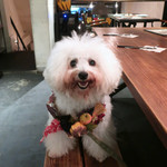 北出食堂 - アタシは〜いつもニコニコ