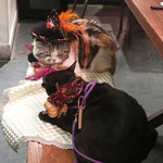 北出食堂 - 黒猫はハロウィーンの主役なれど・・両者睨み合い