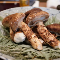 松川 - 6