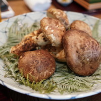 松川 - 7