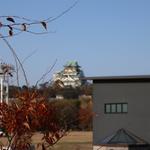 タリーズコーヒー - 感じますか？　星々の彼方に、きっと、いらっしゃる