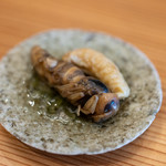 柚木元 - 2018.11 オオスズメバチ 蜂の子と成虫