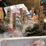 地魚屋台とっつぁん - 