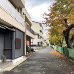 白 - 白と紅葉('18.11月中旬 昼)