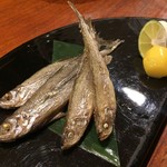 和彩弥 嶋川 - H.30.11.26.夜 北海道本ししゃも塩焼 1,200円