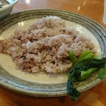 スープカレーのハンジロー - 五穀米