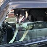 ピッザピッザピッザ - 