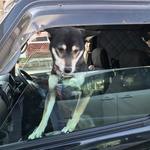 ピッザピッザピッザ - 