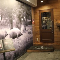 イベリコ屋 北新地店 - 