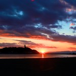 アロハテーブル 湘南