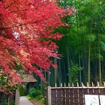 とらや工房 - 紅葉と竹林と山門