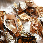 Raw oysters or charcoal-grilled Oyster