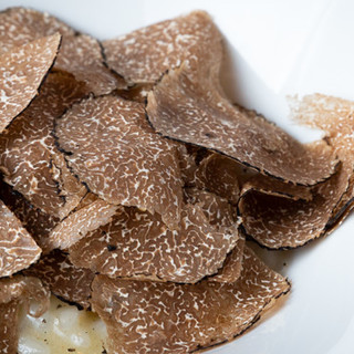 Popular truffle risotto wrapped in a happy aroma