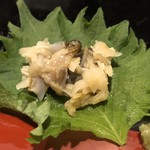 宝寿司分店 - 鮑