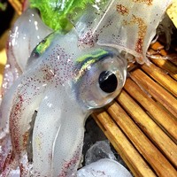 磯ぎよし 天神店 - 