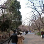 新鶯亭 - 甘いものを食べてほっこりしたボキらは、
      上野公園をお散歩～