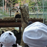 新鶯亭 - 何かで遊んでるみたい、、、♪