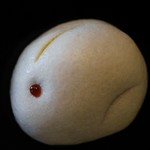 京菓子司 仙太郎 - （2018/9月）うさぎ