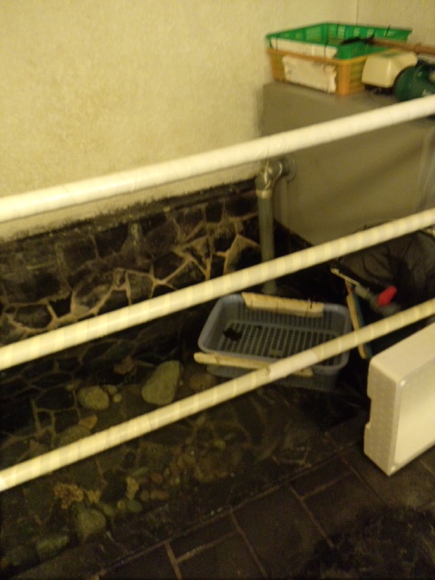 歌舞伎寿司 今治 寿司 食べログ