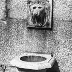 中華軽食　亀の家 - 