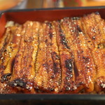 鳥峰うなぎ店 - 