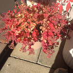 山喜 - 店先 かわいい