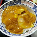 Hoteiya - カレー丼のアップ