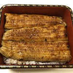 鰻はし本 - 泰正大ヒネ仔の鰻重