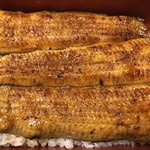 鰻はし本 - 泰正大ヒネ仔の鰻重