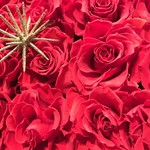 ランデブーラウンジ・バー - 