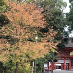 Gurando Kiyosuku - 下鴨神社