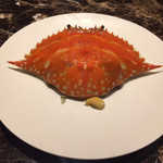 pesceco - ワタリガニ