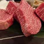 SATOブリアン - シャトーブリアン