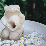 グリルレストラン＆スイーツカフェ スコール - 外観