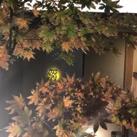 鮨 まるふく - 