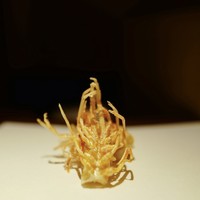 天ぷらあら木 - 