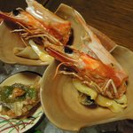 千松しま - 夜コース