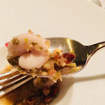 カンテサンス - 