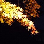 山ばな平八茶屋 - 