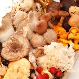 マッシュルーム_0