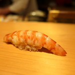 鮨 尚充 - 車海老