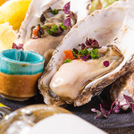 マミーズタミー