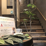 ドトール珈琲農園 - 階段を上がって２階へ
