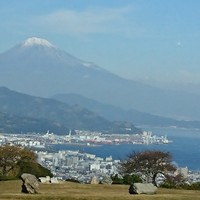 ザ・テラス - ドピーカンの富士山