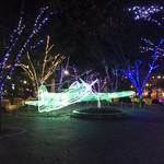 魚菜や - ☆境川沿いの公園。今年も、イルミネーションが始まりました。